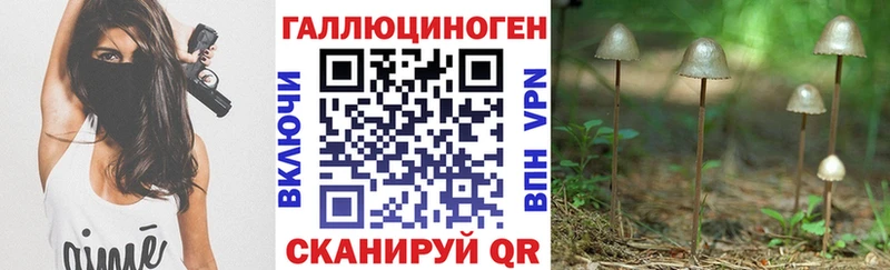 мега как зайти  Гуково  Псилоцибиновые грибы Psilocybine cubensis  купить  
